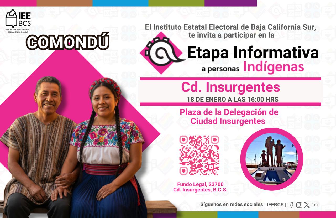 Sedes Consulta a Personas Ind&iacute;genas 2026