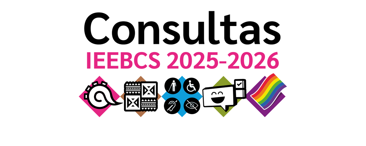 Consultas Personas con Discapacidad